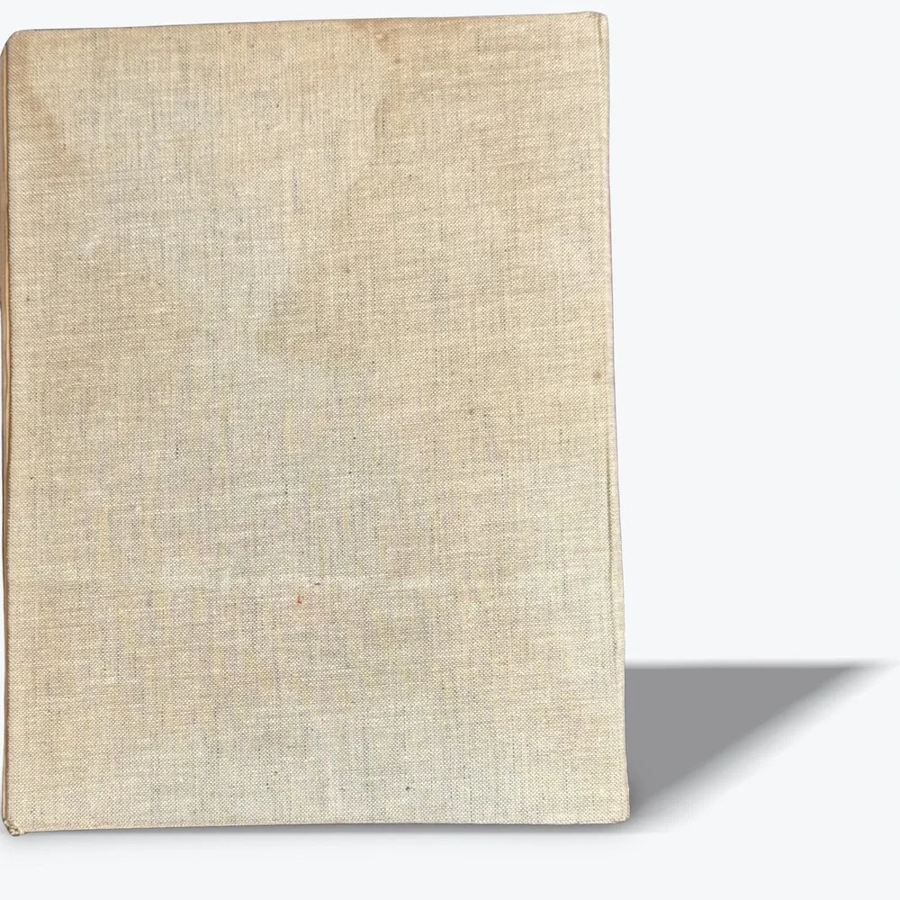 Rare Vintage‎ Picture History of Painting Book From Cave to Modern Times 1957